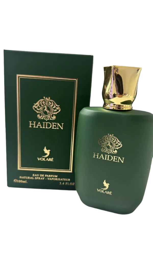 733288 Volare Haiden 3.4 Edp Men