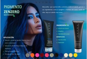 PIGMENTO ZENZERO MANTENIMIENTO